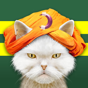 psychic-cat-oregon-ducks-300x300